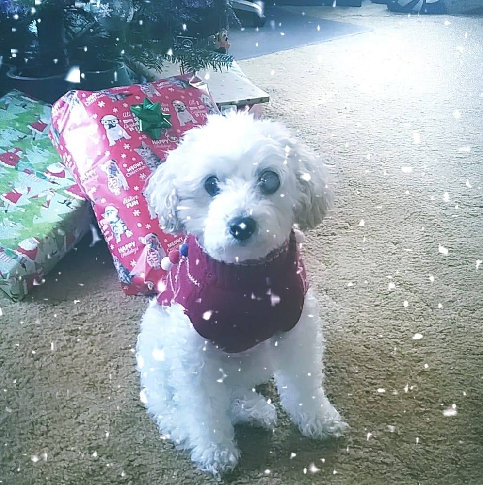 Meet your Posher, Debby